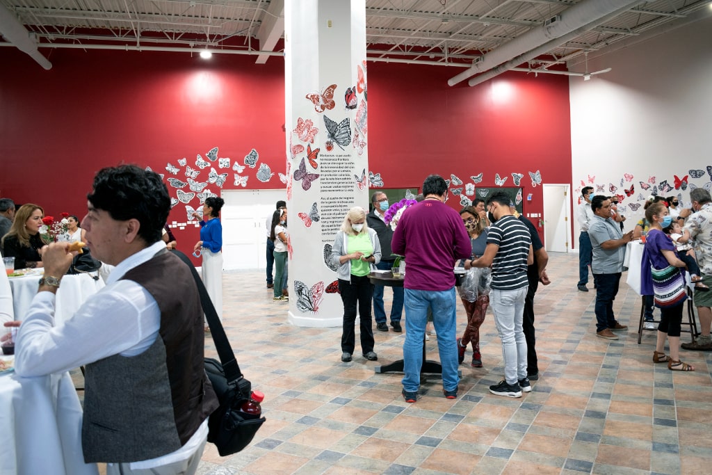 Mariposas Migrantes